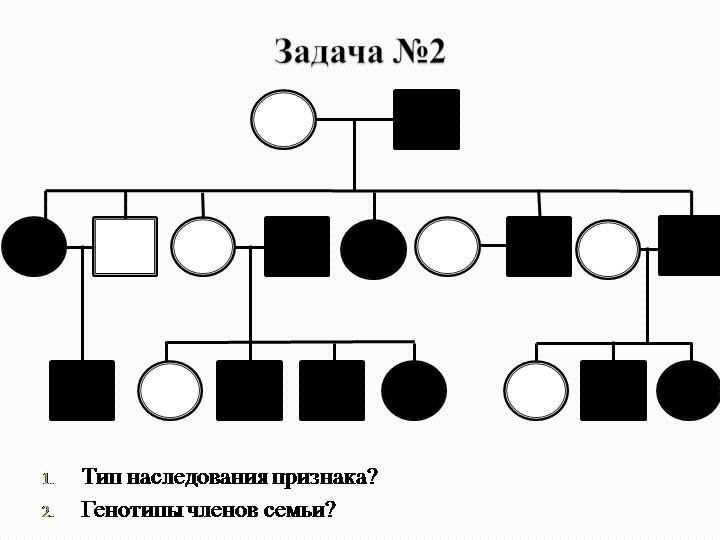 Родословная семьи по цвету глаз схема