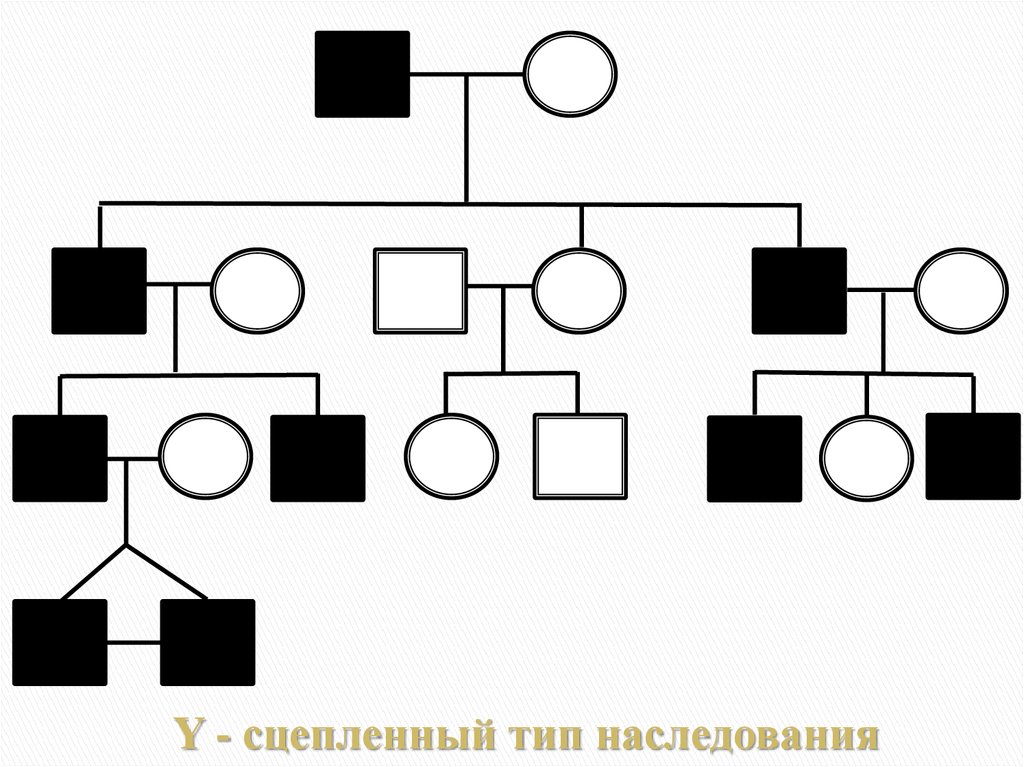 Y тип наследования