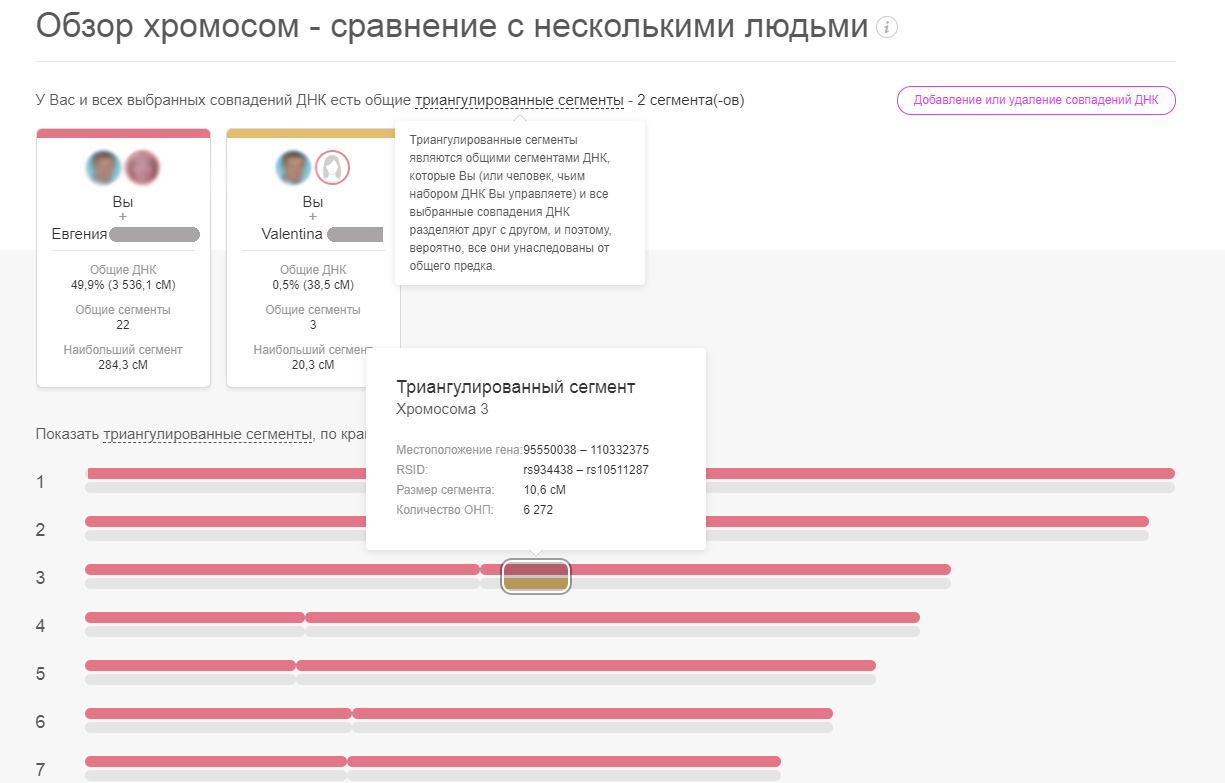 Днк Тест На Происхождение Цена