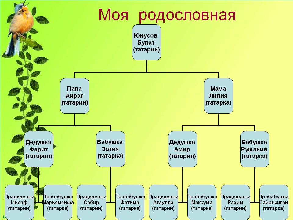 Родословная пример образец