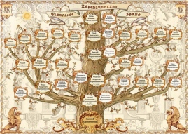 Программы для генеалогического дерева бесплатно на телефон